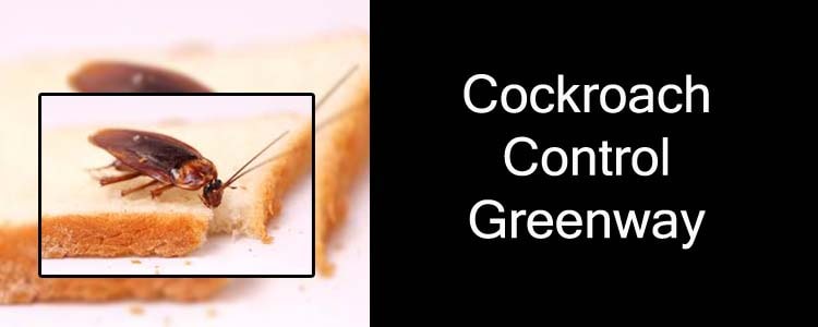 Cockroach Control Greenway